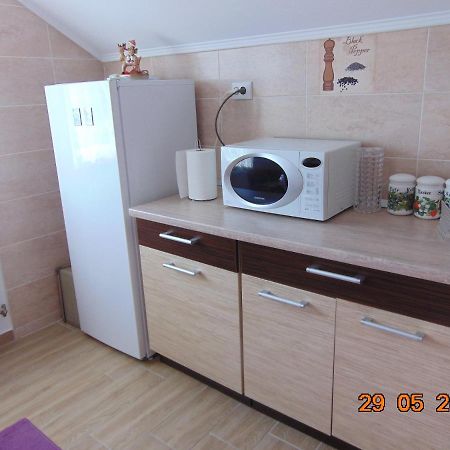 Vila Floarea De Colt Apartman Borsa  Kültér fotó