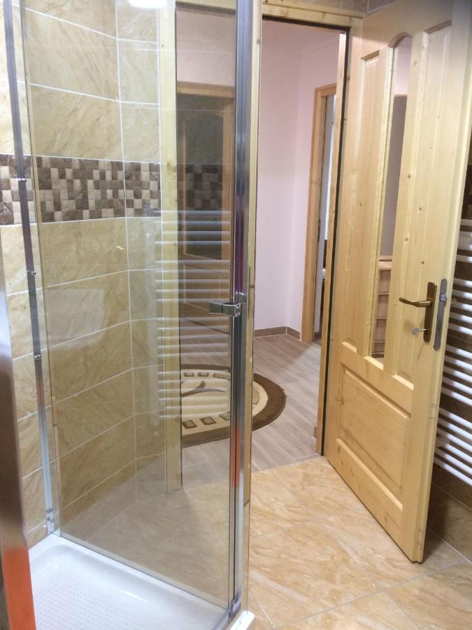 Vila Floarea De Colt Apartman Borsa  Kültér fotó