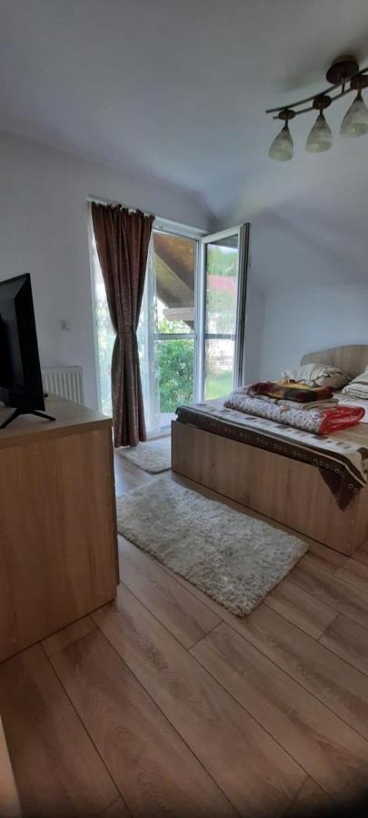 Vila Floarea De Colt Apartman Borsa  Kültér fotó