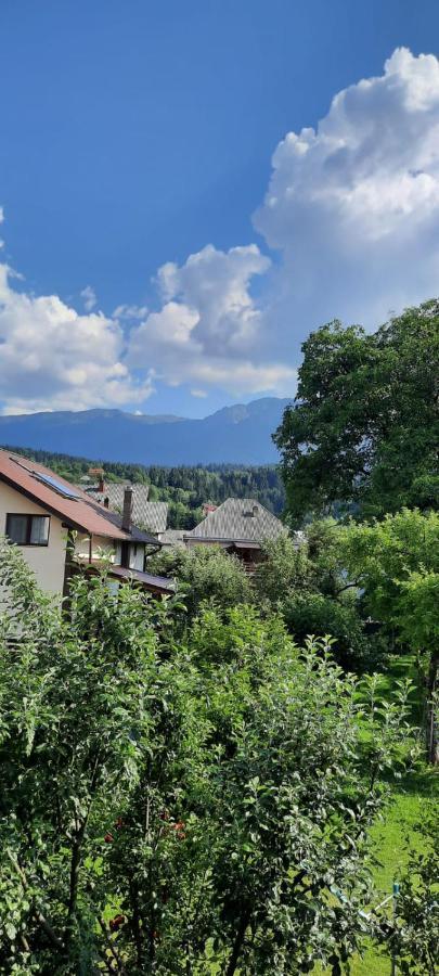 Vila Floarea De Colt Apartman Borsa  Kültér fotó