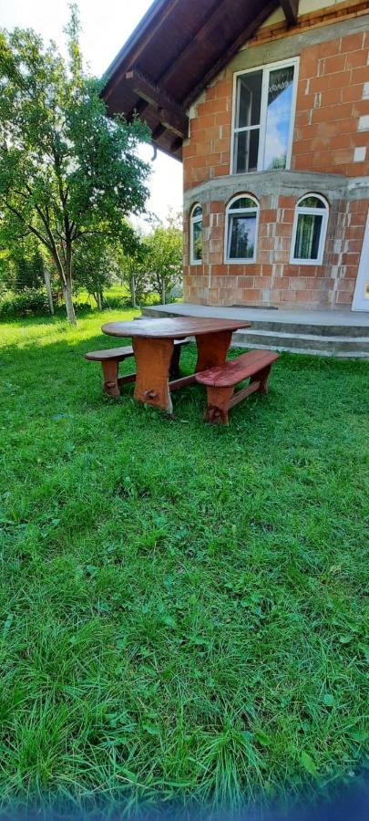 Vila Floarea De Colt Apartman Borsa  Kültér fotó