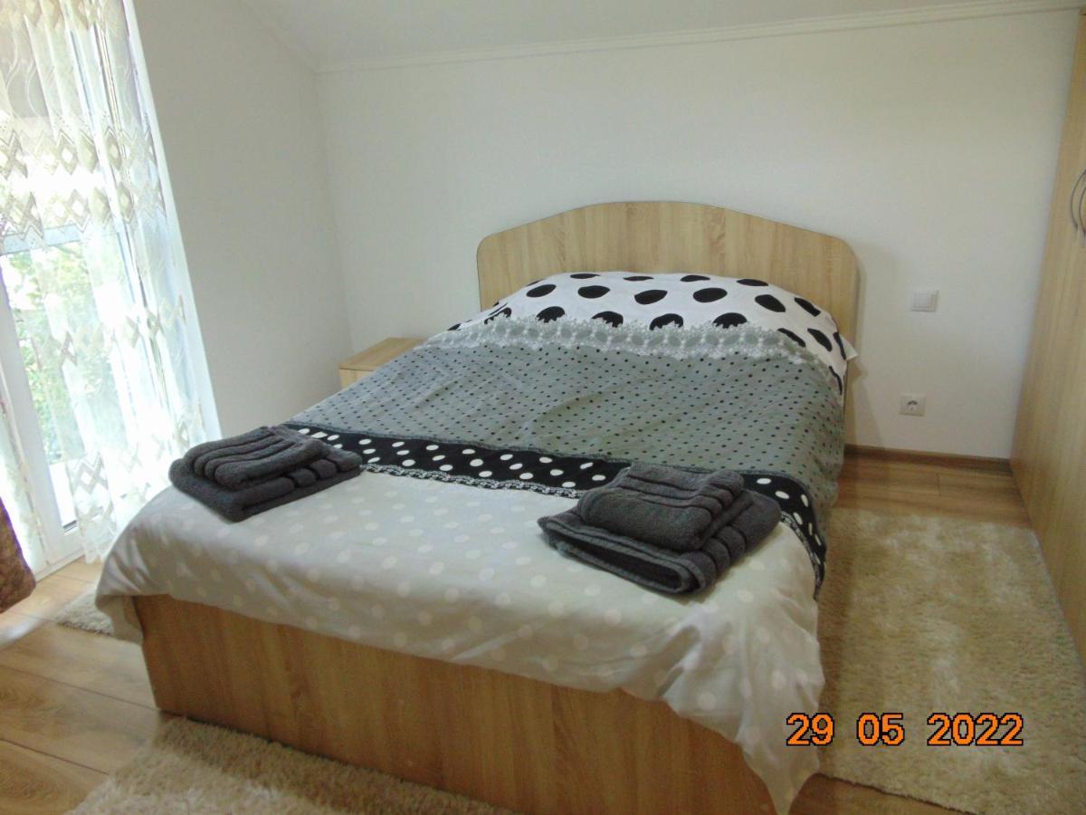 Vila Floarea De Colt Apartman Borsa  Kültér fotó