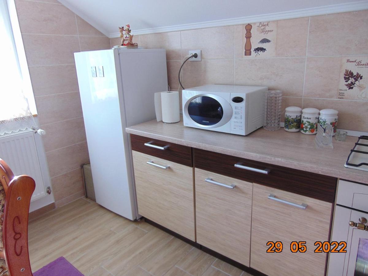 Vila Floarea De Colt Apartman Borsa  Kültér fotó