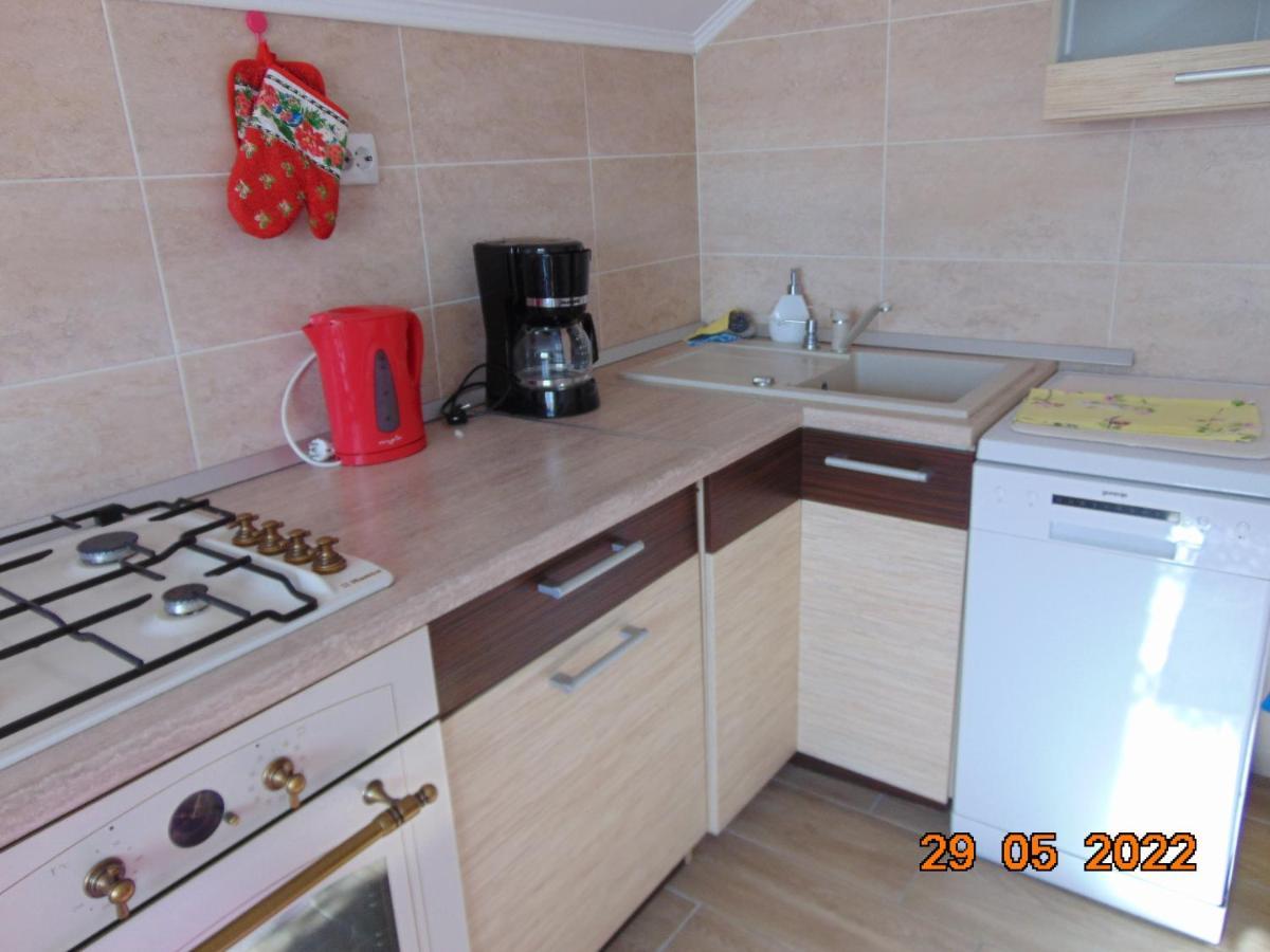 Vila Floarea De Colt Apartman Borsa  Kültér fotó